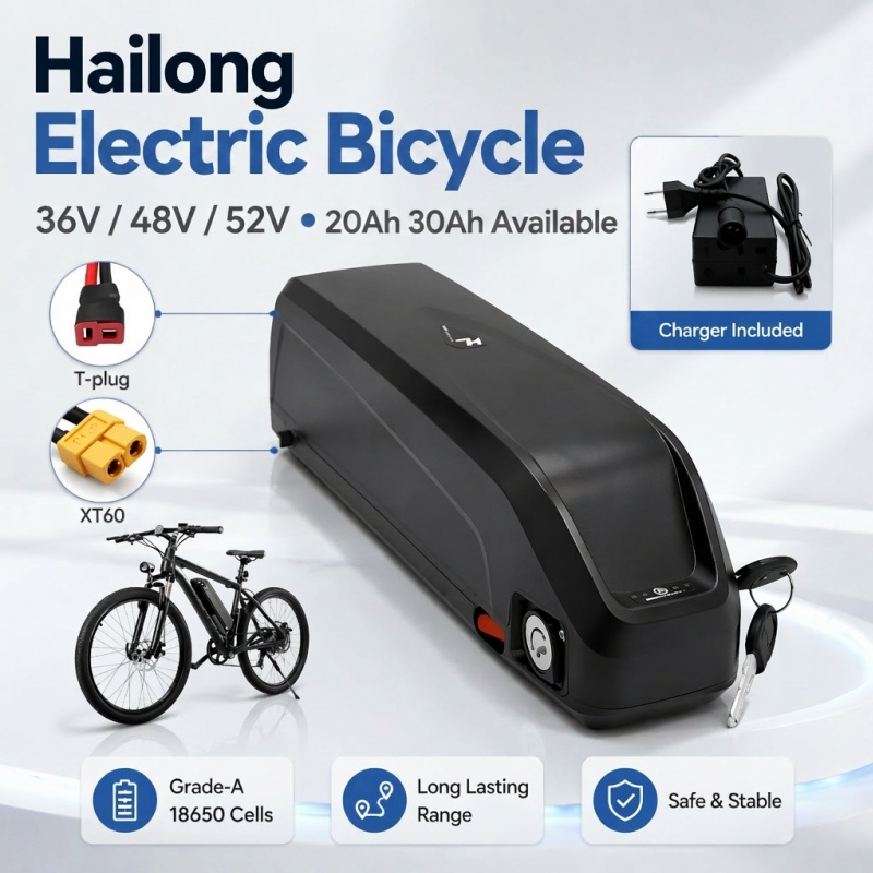 Versatile Hailong Battery, Mul - огляд і ціна Ebike Battery 48V 20Ah Hailong