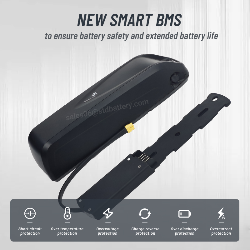 Hailong EBike Battery 36V 48V  - огляд і ціна Ebike Battery 48V 20Ah Hailong